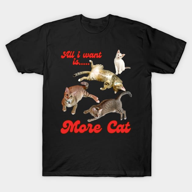 All I Want Is More Cat T-Shirt by BloomInOctober